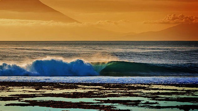 NY’s Matt Clark Wins Photo of the Year !!!