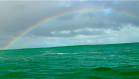 Rainbow over the madness