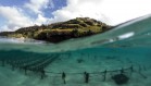 WTF am I surfing over?